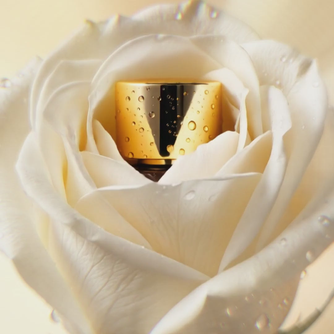 A | Absolute Eau de Parfum